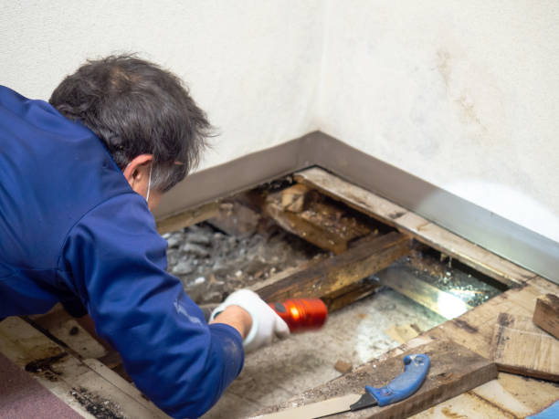 Best Crawl Space Mold Removal  in Mowbray Mountain, TN