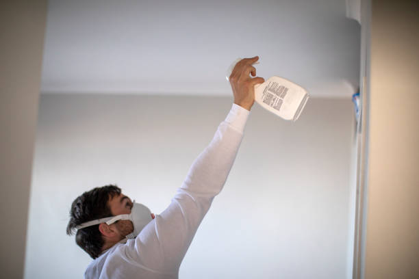 Best Mold Removal Company Near Me  in Mowbray Mountain, TN