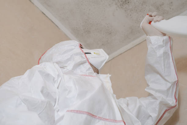 Best Toxic Mold Removal  in Mowbray Mountain, TN