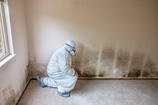 Best Emergency Mold Removal  in Mowbray Mountain, TN