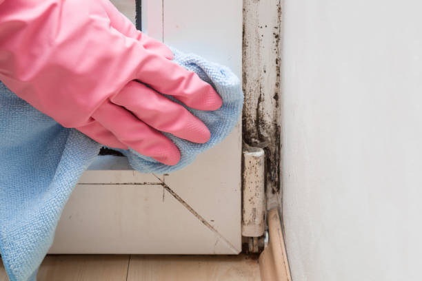 Crawl Space Mold Removal in Mowbray Mountain, TN